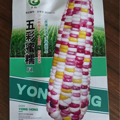审定小袋玉米种子 农田菜园籽粒饱满甜糯皮薄黄白黑彩四色玉米籽