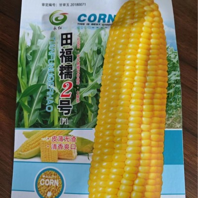 审定小袋玉米种子 农田菜园籽粒饱满甜糯皮薄黄白黑彩四色玉米籽图3