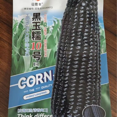 审定小袋玉米种子 农田菜园籽粒饱满甜糯皮薄黄白黑彩四色玉米籽图2