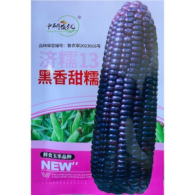 研优黑香甜糯玉米种子 菜园农家黑亮大穗苞米籽 甜糯无渣春秋蔬菜图4