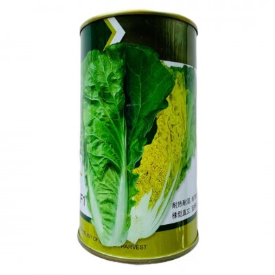 快菜种子有机小白菜籽四季播早熟春季夏秋冬季种青蔬菜菜种孑阳台