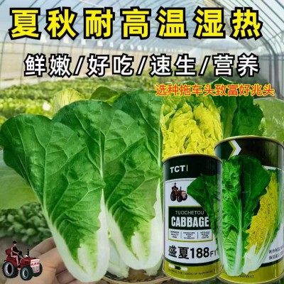 快菜种子有机小白菜籽四季播早熟春季夏秋冬季种青蔬菜菜种孑阳台图5
