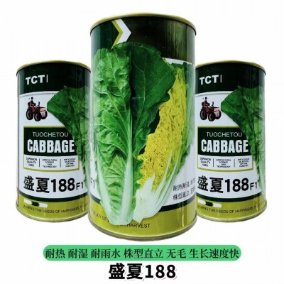 快菜种子有机小白菜籽四季播早熟春季夏秋冬季种青蔬菜菜种孑阳台图4