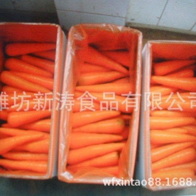 保鲜胡萝卜（出口）（基地种植、厂家直供）