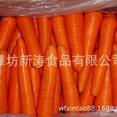 保鲜胡萝卜（出口）（基地种植、厂家直供）图5