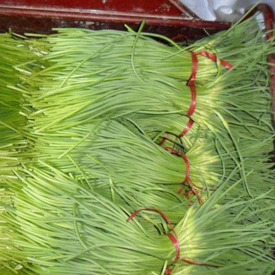 出售金乡大蒜 、蒜苔 、质量好大蒜、出口大蒜新鲜优质有机蒜图4