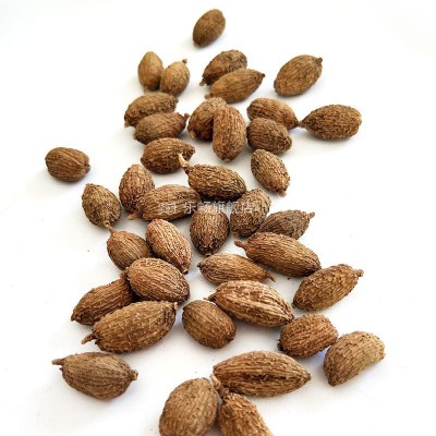 乐畅砂仁 砂仁粉调味香料调料大全