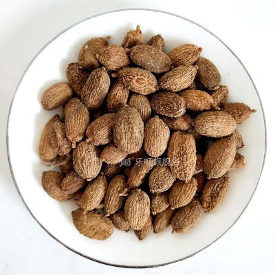 乐畅砂仁 砂仁粉调味香料调料大全图2