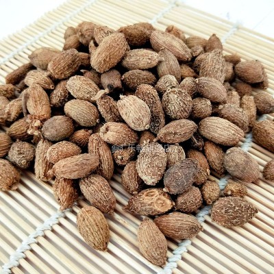 乐畅砂仁 砂仁粉调味香料调料大全图4