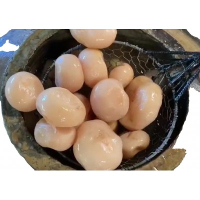 三农食品厂价批发泡菜老坛泡萝卜餐馆酒店40kg/件图2