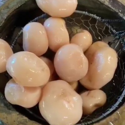 三农食品厂价批发泡菜老坛泡萝卜餐馆酒店40kg/件图4