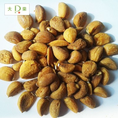 烤蒜瓣出口 烧烤大蒜粒批发销售