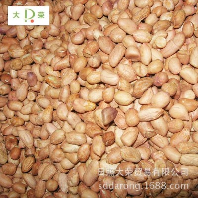 38 42白沙系列花生米 花生仁出口 生花生米厂家直销
