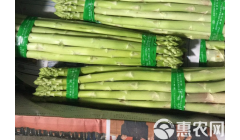 农村种什么赚钱最快？