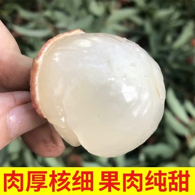 （京东空运坐飞机的）广东高州白糖罂荔枝百年老树当季新鲜荔枝图4