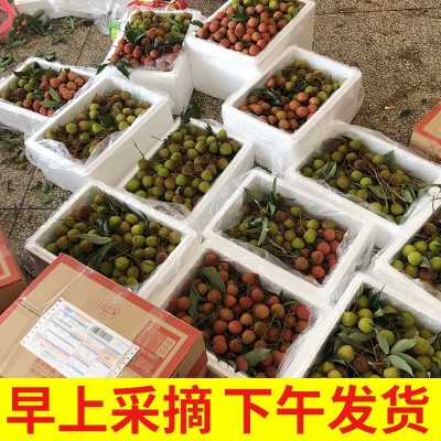 （京东空运坐飞机的）广东高州白糖罂荔枝百年老树当季新鲜荔枝图3
