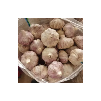 农副产品大蒜 可直接使用 可冷藏加工 基地发货