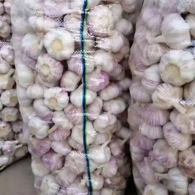 丰德利大蒜 新鲜美味 无农药残留 品质高 口味好 用途广 产地直发