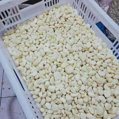 出售精选大蒜 辛辣农产品 人工去皮蒜米 基地发货图3