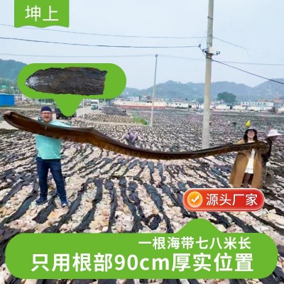 山东日晒干海带厚实海带干货批发昆布出口海带干海带批-发图5
