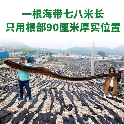 山东日晒干海带厚实海带干货批发昆布出口海带干海带批-发图2