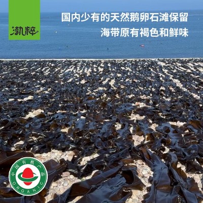 有机干海带丝批发散装凉拌干货晒干泡发即食海带汤火锅食材小包装图3