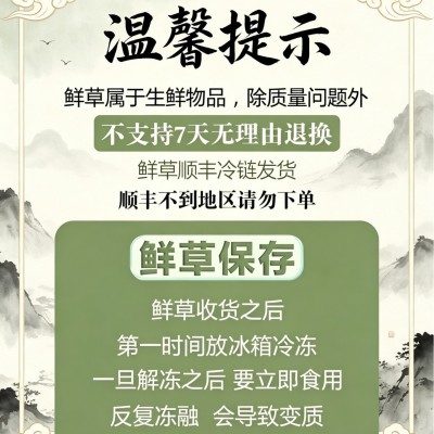 新鲜虫草高海拔鲜虫草产地直发冷链空运西藏高原新鲜虫草批发图5