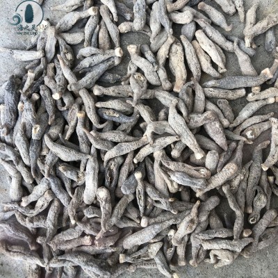 一手批发小白茄参茄参印尼尖尾茄参便宜参400头全国海参代发零售图4