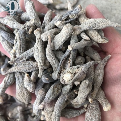 一手批发小白茄参茄参印尼尖尾茄参便宜参400头全国海参代发零售图3