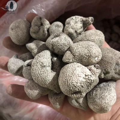 大白珍珠参52头批发珍珠球小龙眼球参性价比高质量好水产干货海参图2