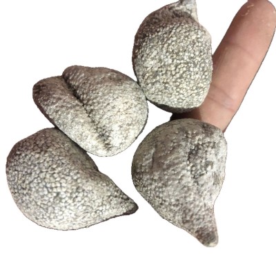 大白珍珠参52头批发珍珠球小龙眼球参性价比高质量好水产干货海参