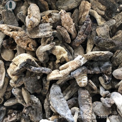 批发B级海参断参碎参残参B赤参海参原料批发海参粉量大价格优惠图4