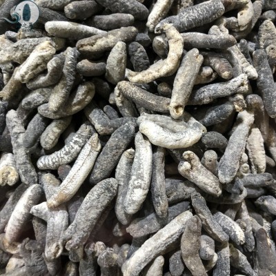 一手批发小明秃参秃参沙秃参500头海参批发电商礼盒包装零售专供图5