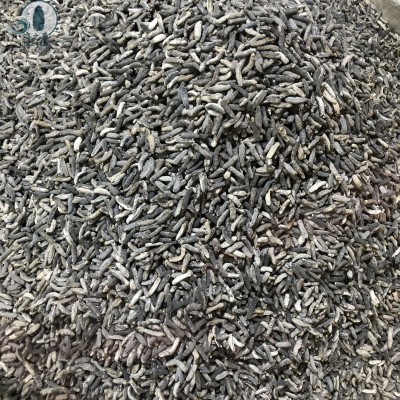 一手批发小明秃参秃参沙秃参500头海参批发电商礼盒包装零售专供图2