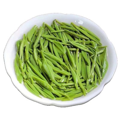 2025年头春头采明前雀舌散茶批发单芽雀舌自己喝源头批发