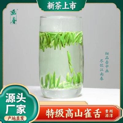 2025年头春头采明前雀舌散茶批发单芽雀舌自己喝源头批发图4