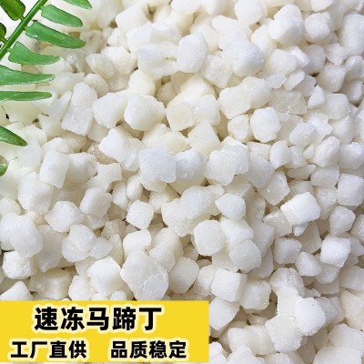 速冻马蹄丁荸荠粒工厂直供饺子包子狮子头肉馅奶茶配料广西特产图5