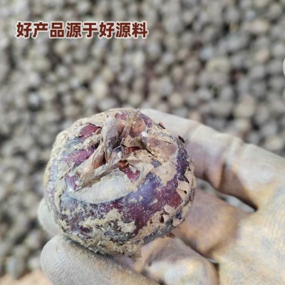 速冻马蹄丁荸荠粒工厂直供饺子包子狮子头肉馅奶茶配料广西特产图3