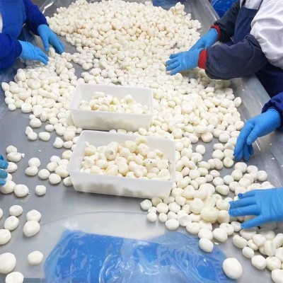 速冻马蹄粒马蹄爆爆珠荸荠丁饺子包子狮子头肉馅配料批发优质货图3