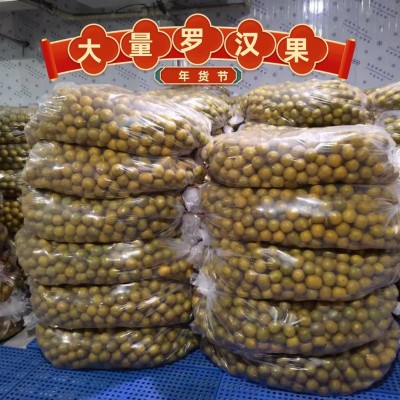 罗汉果广西桂林特产黄金脱水罗汉果 干果现货独立包装袋一件代发图4
