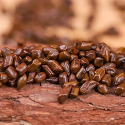 决明子 中药决明子批发决明子茶炒熟决明子泡茶大颗粒决明子500g图2