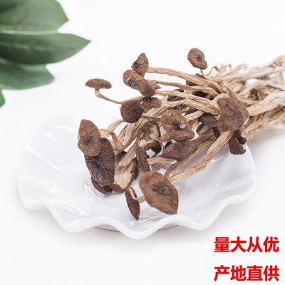 古田茶树菇食用菌产地批发土特产不开伞散装250g可贴牌定制