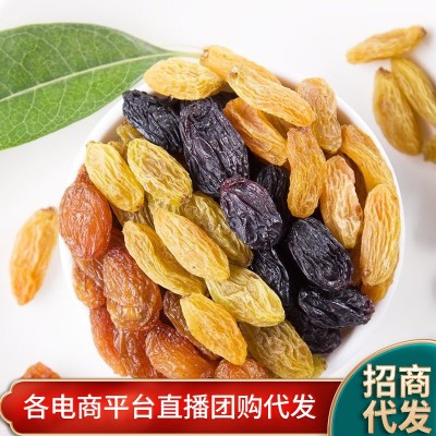 新疆特产四色葡萄干批发代发500g 吐鲁番混合绿香妃黑加仑葡萄干