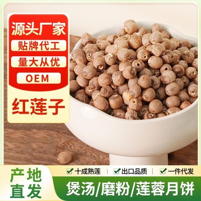 建宁龙威源头工厂建宁老红莲子500g去芯无硫高品质新货红皮莲批发