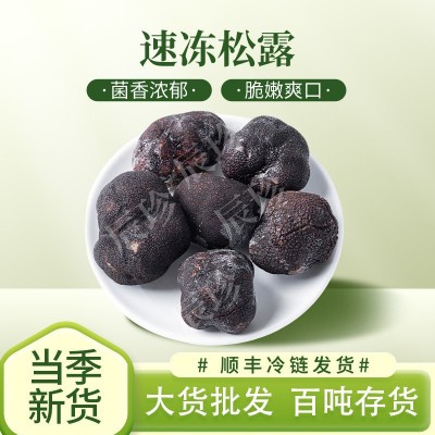 云南黑松露速冻猪拱菌野生黑松露食用菌野生菌火锅煲汤熬粥菌菇工