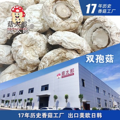 双孢菇整菇口蘑菇食用菌菇新货白蘑菇出口种植基地备案可商检