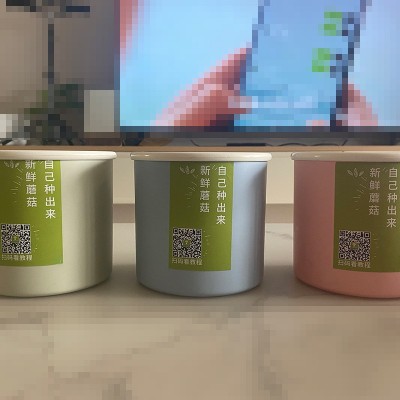 蘑菇种植桶 蘑菇菌菇包 蘑菇种植盒家庭幼儿园室内自己种蘑菇菌包