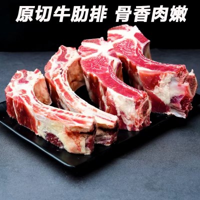 牛肋排5斤装牛排骨带脊骨新鲜带肉冷冻带骨谷饲可分销一件代发