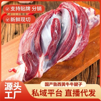 国产原切牛腱子批发生鲜商用火锅食材新鲜不调理牛腱肉5斤牛腱子