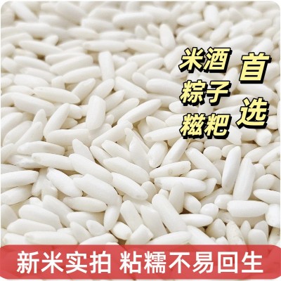 新鲜长粒糯米湖北云梦糯米江米包粽子酿米酒饭团杂粮精品珍珠糯米